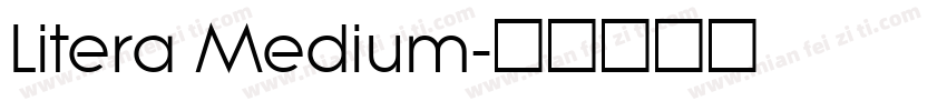 Litera Medium字体转换